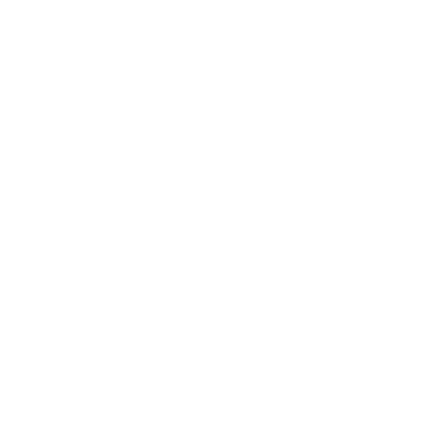 Care Icon