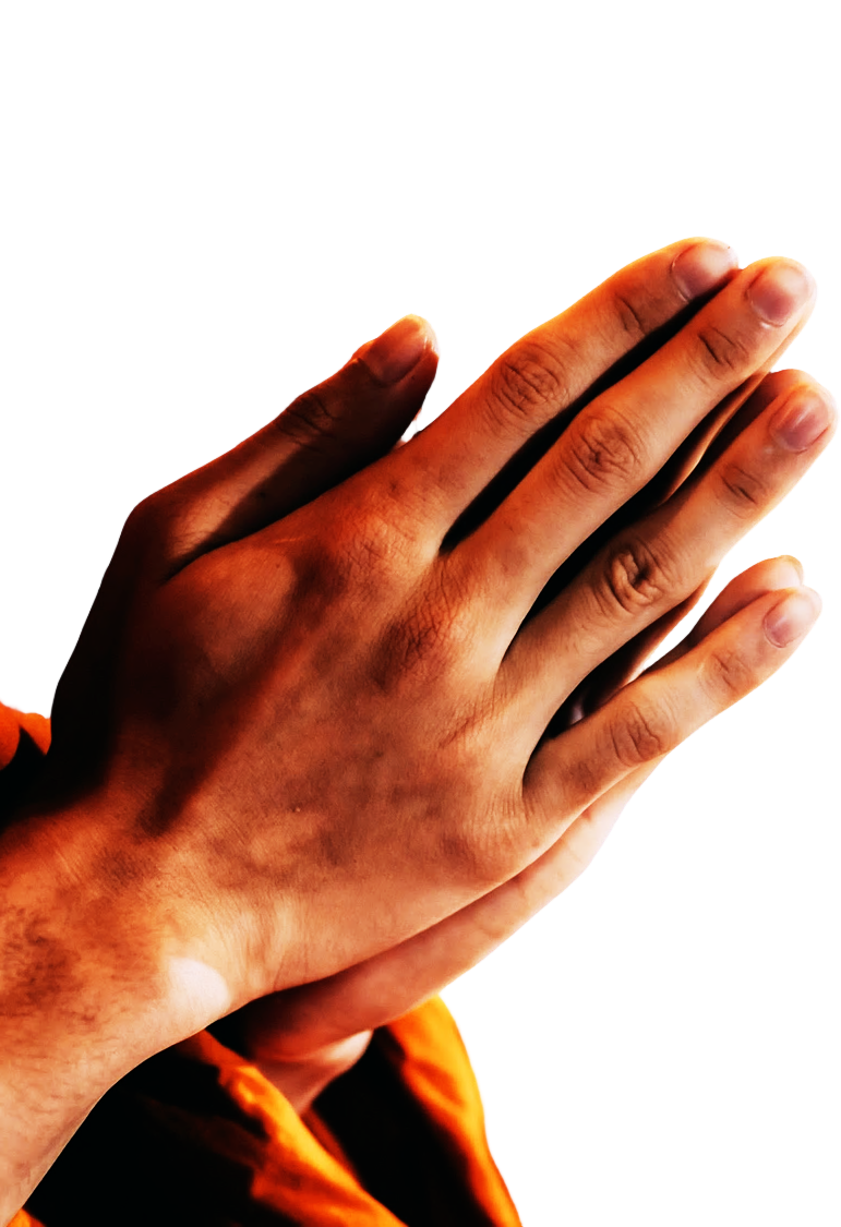 Praying Hands